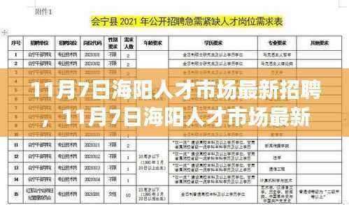 11月7日海阳人才市场最新招聘详解,求职全攻略与成功应聘指南