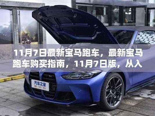 最新宝马跑车购买指南,从入门到精通,11月7日版车型详解