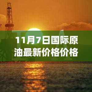 11月7日国际原油最新价格详解,初学者与进阶用户查询指南