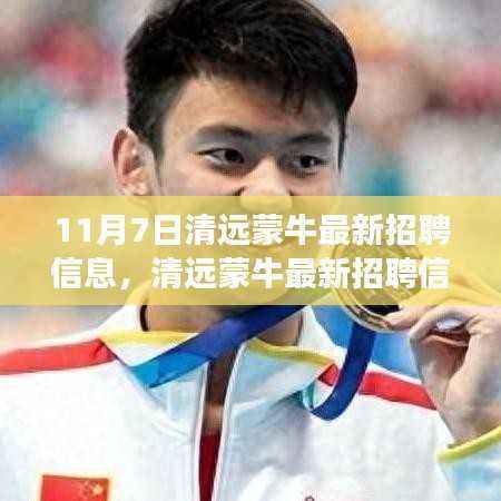 清远蒙牛最新招聘信息解读，特性、体验、竞品对比与目标用户分析全解析