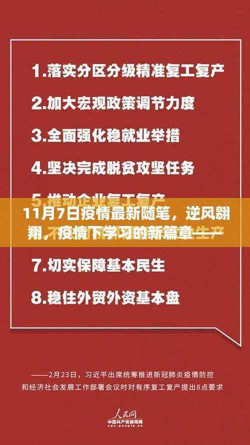 逆风翱翔,11月7日疫情下的学习新篇章随笔