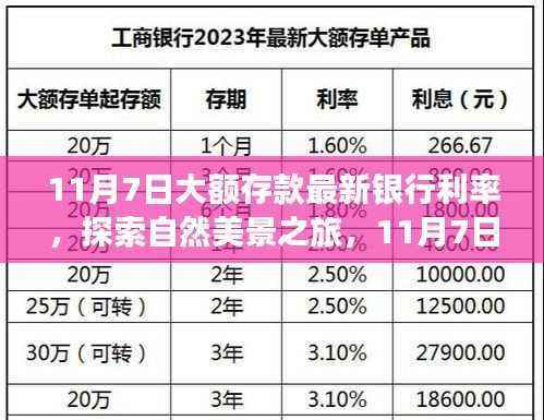 11月7日大额存款利率更新，探索最佳银行利率，心灵与自然之旅的宁静平和探索