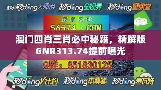 澳门四肖三肖必中秘籍,精解版GNR313.74提前曝光