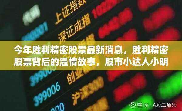 胜利精密股票最新动态,股市小达人小明的胜利之路与温情友情之旅