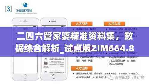 二四六管家婆精准资料集,数据综合解析_试点版ZIM664.81