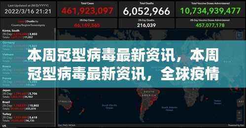 全球疫情动态更新,冠型病毒最新资讯与应对策略本周更新版