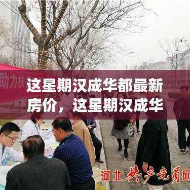 汉成华都最新房价指南,从入门到精通的购房信息与攻略