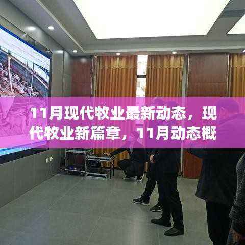 11月现代牧业动态概览,开启新篇章,展望前景发展