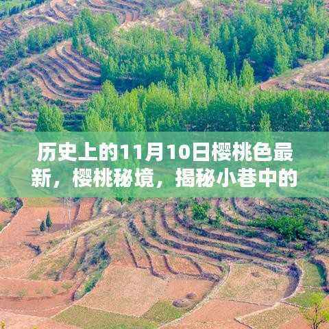 历史上的11月10日，樱桃色揭秘与独特风味探索