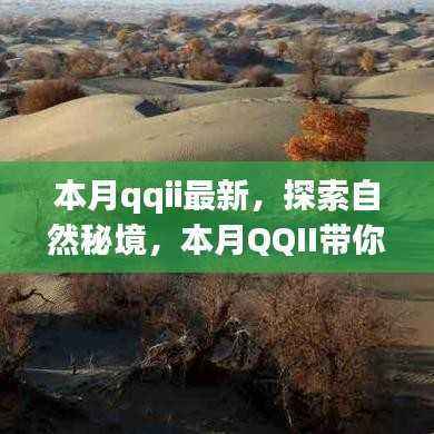 本月QQII最新探索,启程自然秘境,领略生活的美好,寻找内心宁静与喜悦的旅程