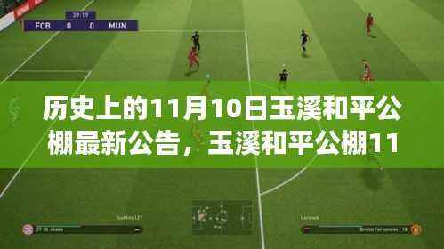 玉溪和平公棚公告背后的友情、陪伴与爱的传递——温馨故事揭晓日(11月10日)