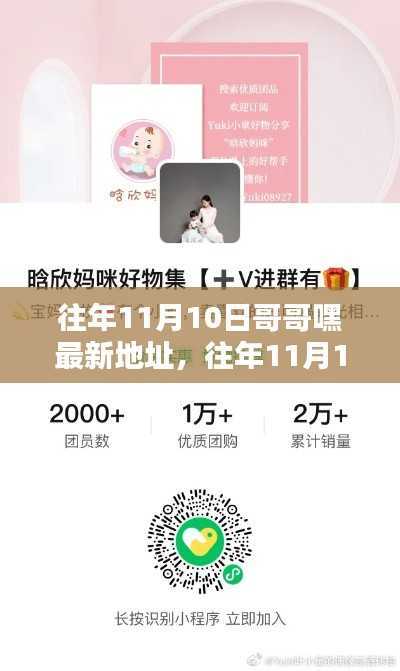 往年11月10日哥哥嘿最新地址，全面评测与详细介绍