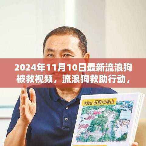 流浪狗救助行动背后的深度议题，关注最新救助视频