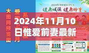 时光之笔下的惟爱前妻，最新章节回顾与影响分析 2024年11月10日更新