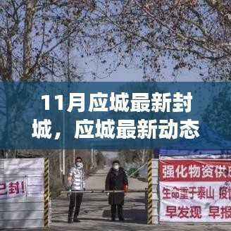 应城最新封城动态，十一月下的生活与希望