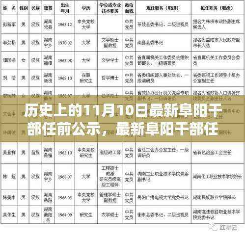历史上的11月10日阜阳干部任前公示流程详解及指南