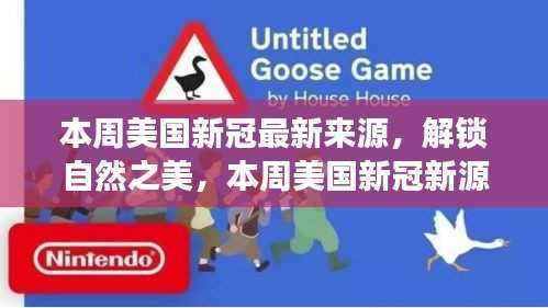 美国新冠最新源头探索,自然之美的追寻与内心宁静的旅程