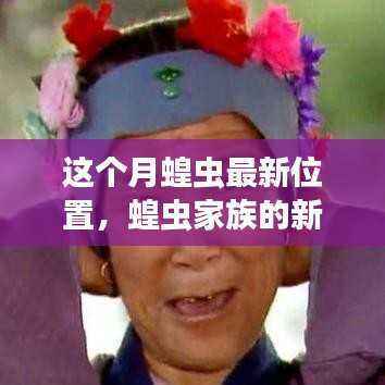 本月蝗虫家族新旅程揭秘,最新位置与奇妙追踪记