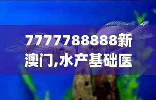 7777788888新澳门,水产基础医学_仙皇境CPB293.7