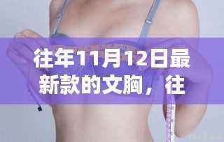 往年11月12日新款文胸评测,特性、体验、对比及用户群体深度分析