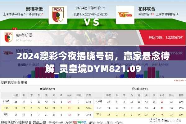 2024澳彩今夜揭晓号码,赢家悬念待解_灵皇境DYM821.09