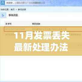 11月发票丢失处理指南,最新办法详解