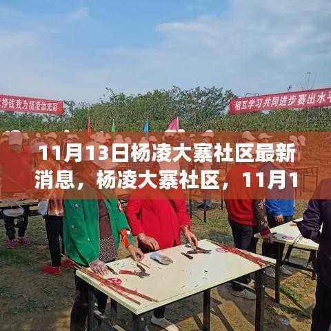 杨凌大寨社区11月13日最新动态,社区发展之路闪耀闪耀