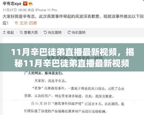揭秘辛巴徒弟直播新动向,三大看点深度剖析11月最新视频