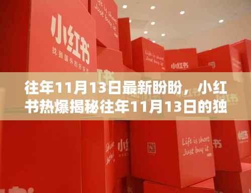 小红书揭秘,往年11月13日的独特盼盼与美好时刻再现!