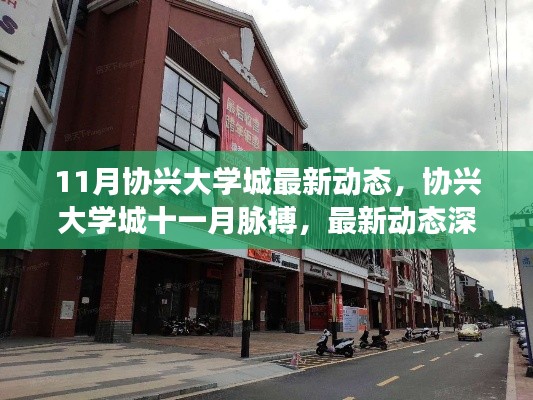 协兴大学城十一月最新动态深度解析,把握城市脉搏