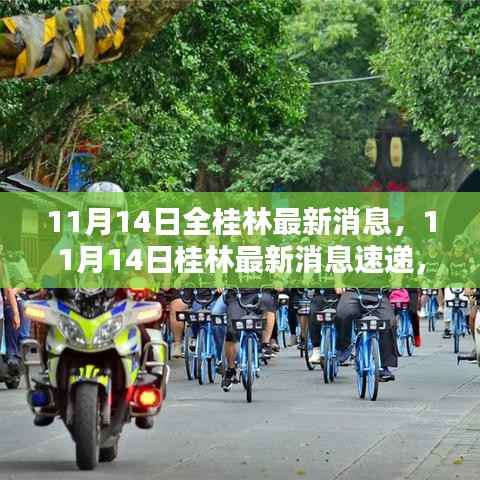11月14日桂林全貌,最新消息速递与城市动态一网打尽