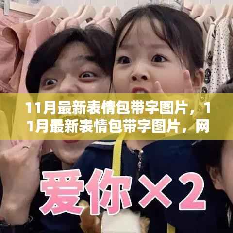 网络时代新风尚,揭秘11月最新表情包带字图片