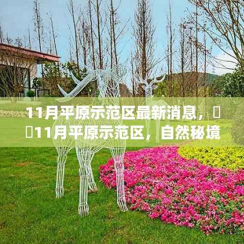 11月平原示范区最新动态,自然秘境之旅的呼唤,探寻内心平和的奇妙旅程