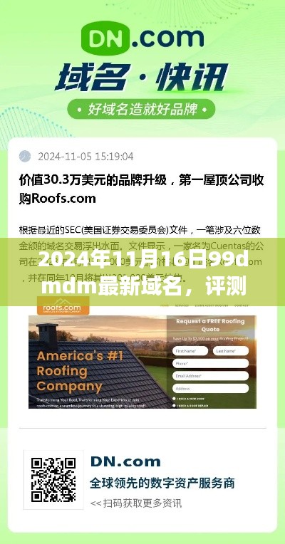 最新域名评测报告,深入解析99dmdm域名