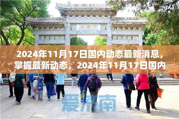 2024年11月17日国内最新动态消息全解析,初学者与进阶用户指南