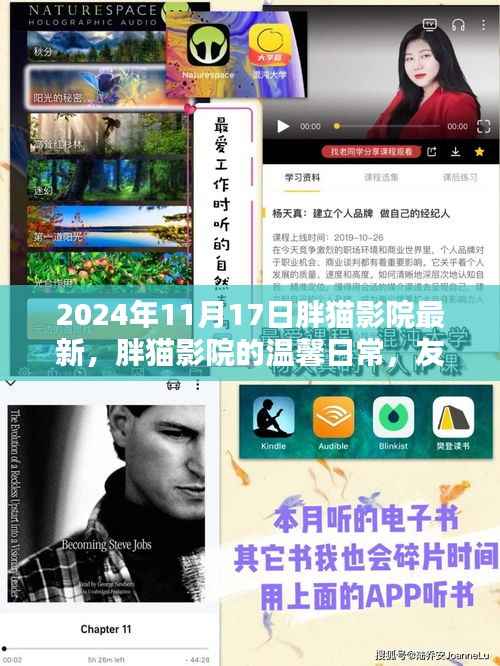 胖猫影院的温馨日常,友情、欢笑与共同观影的美好时光(2024年11月17日更新)