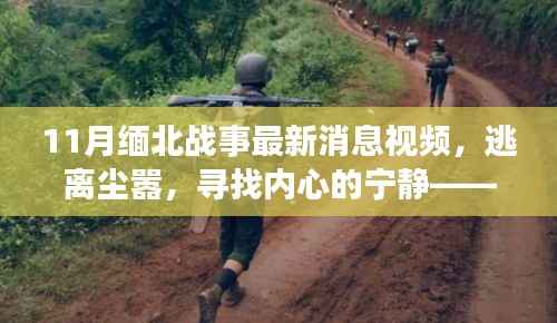 揭秘缅北战事最新动态与美景之旅,逃离尘嚣,寻找内心宁静的故事视频