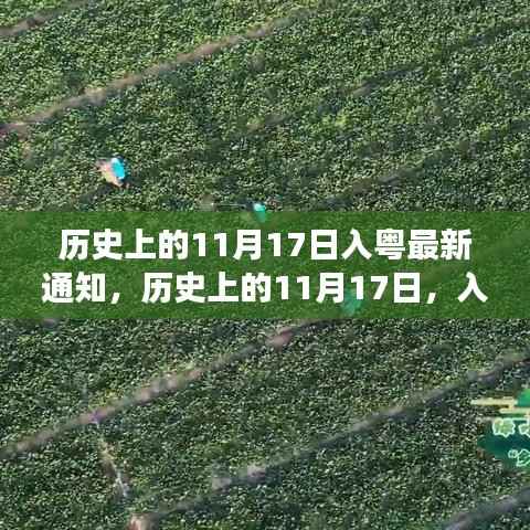 历史上的11月17日,开启入粤新篇章,励志之旅启程学习成长之路