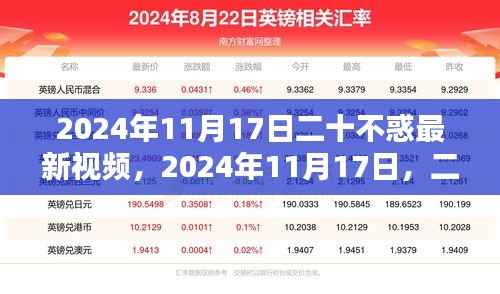 二十不惑最新视频解析与探讨，2024年11月17日更新内容揭秘