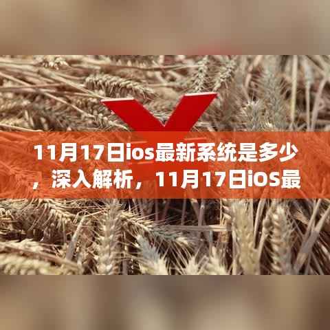 11月17日iOS最新系统版本深度解析,特性、体验、竞争对比与目标用户分析