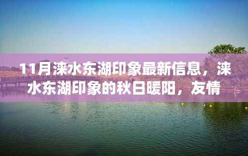 涞水东湖印象秋日暖阳下的友情温馨日常(最新信息)