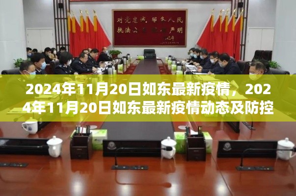 2024年11月20日如东最新疫情动态,防控措施分析与更新