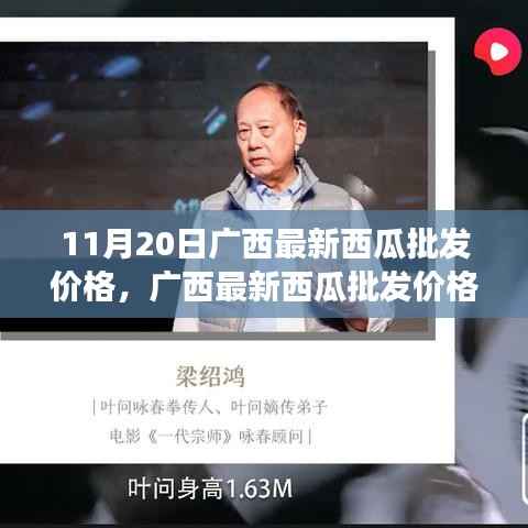 广西西瓜最新批发价格及自然美景探寻之旅