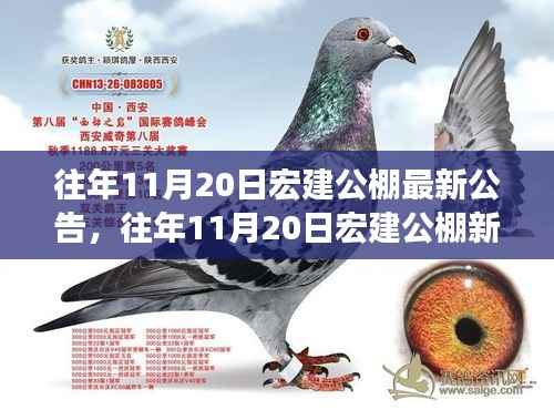 往年11月20日宏建公棚新公告,变化中的学习之旅,自信与成就感的起点