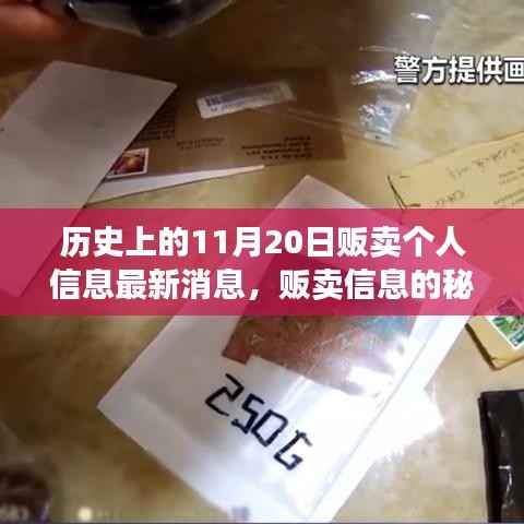 温馨日常背后的秘密,揭秘11月20日贩卖个人信息最新动态与秘密交易