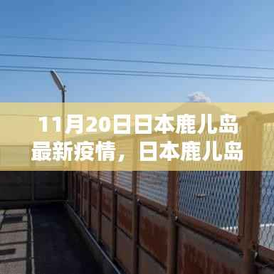 日本鹿儿岛最新疫情动态分析报告(截至11月20日)