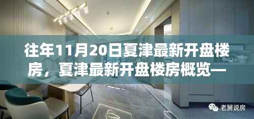 往年11月20日夏津最新楼盘开盘信息一览,全面概览新楼盘动态