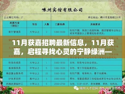 11月获嘉招聘最新信息,启程寻找心灵的宁静绿洲