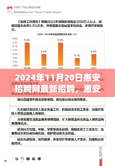 聚焦职场机遇,洞悉行业趋势,惠安招聘网最新招聘动态(2024年11月20日)