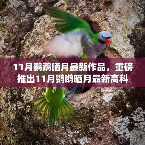 科技之光照亮生活,鹦鹉晒月最新高科技产品体验未来智能魅力